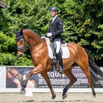 Jürgen Hainzinger mit Fantasia S